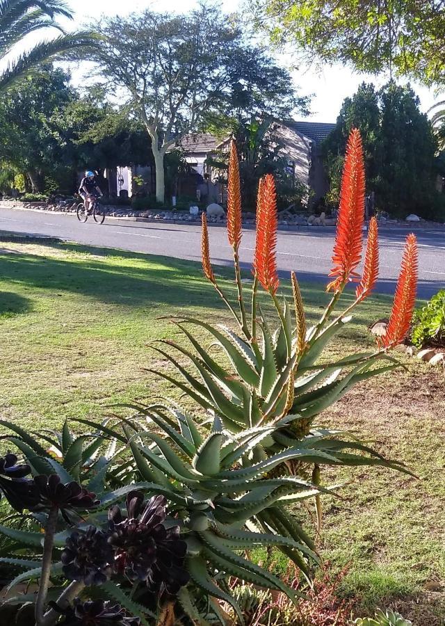 19 On Robyn Apartment Durbanville Luaran gambar