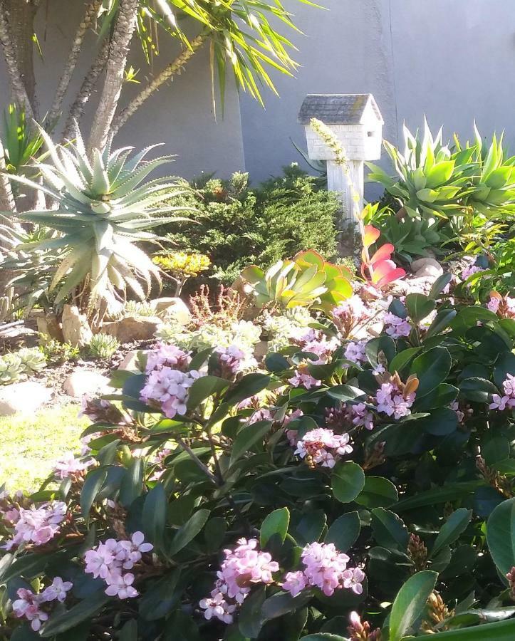 19 On Robyn Apartment Durbanville Luaran gambar